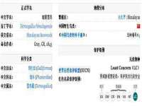 永州市隔远方计算机有限公司