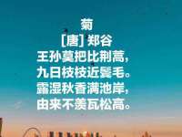 永州市隔远方计算机有限公司