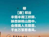 永州市隔远方计算机有限公司