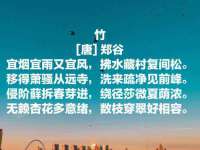 永州市隔远方计算机有限公司