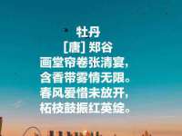 永州市隔远方计算机有限公司