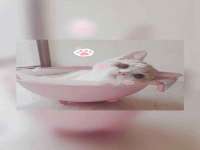 永州市隔远方计算机有限公司