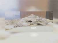 永州市隔远方计算机有限公司