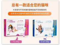 永州市隔远方计算机有限公司