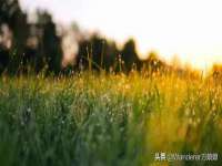 永州市隔远方计算机有限公司