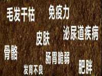 永州市隔远方计算机有限公司