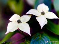 永州市隔远方计算机有限公司