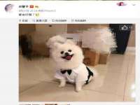 永州市隔远方计算机有限公司