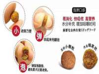 永州市隔远方计算机有限公司