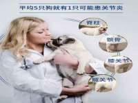 永州市隔远方计算机有限公司