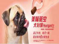 永州市隔远方计算机有限公司