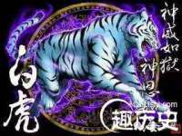 永州市隔远方计算机有限公司