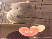 永州市隔远方计算机有限公司