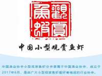 永州市隔远方计算机有限公司
