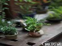 永州市隔远方计算机有限公司