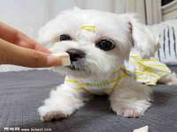 永州市隔远方计算机有限公司