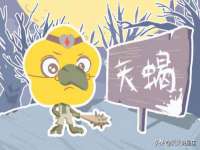 永州市隔远方计算机有限公司