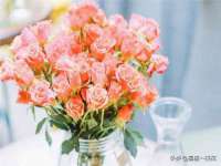 永州市隔远方计算机有限公司