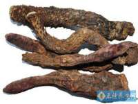 永州市隔远方计算机有限公司
