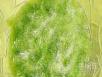 永州市隔远方计算机有限公司