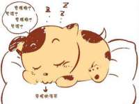 永州市隔远方计算机有限公司