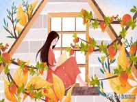 永州市隔远方计算机有限公司