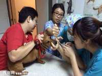 永州市隔远方计算机有限公司