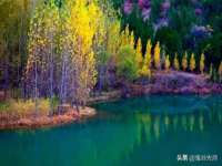 永州市隔远方计算机有限公司