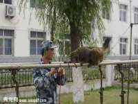 永州市隔远方计算机有限公司
