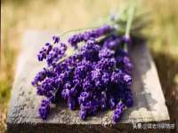 永州市隔远方计算机有限公司