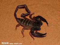永州市隔远方计算机有限公司