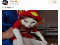 永州市隔远方计算机有限公司
