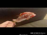 永州市隔远方计算机有限公司